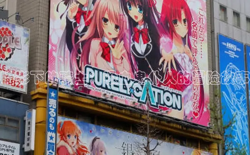 暗影下的骑士：吸血鬼仆人的冒险故事